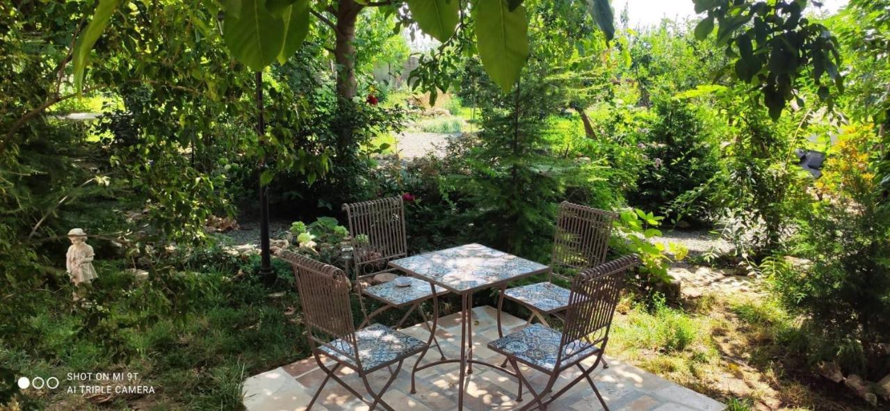 Hotel Casa Magnolia Douăzeci şi Trei August Esterno foto