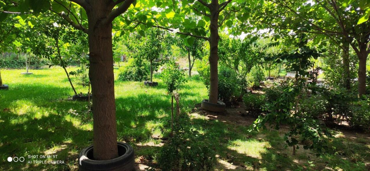 Hotel Casa Magnolia Douăzeci şi Trei August Esterno foto