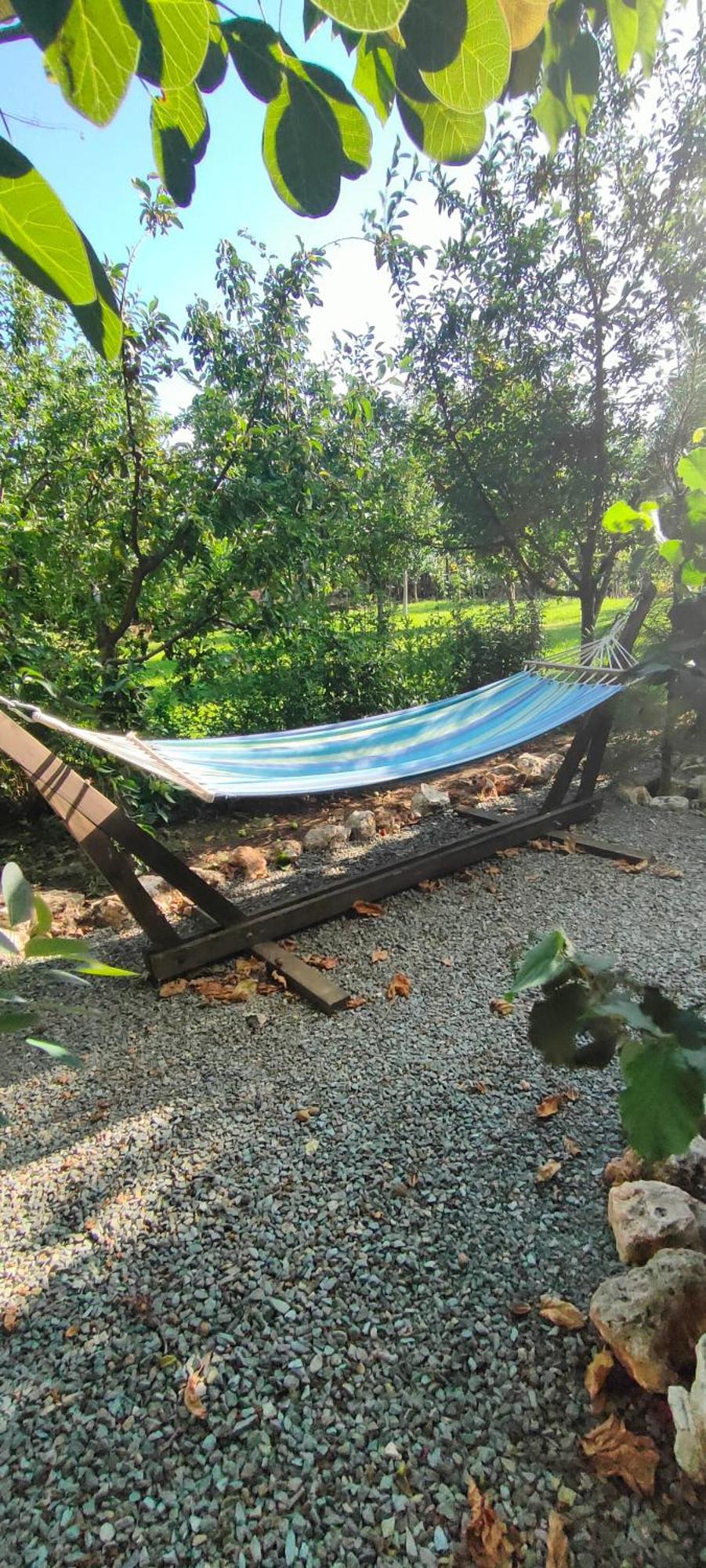 Hotel Casa Magnolia Douăzeci şi Trei August Esterno foto